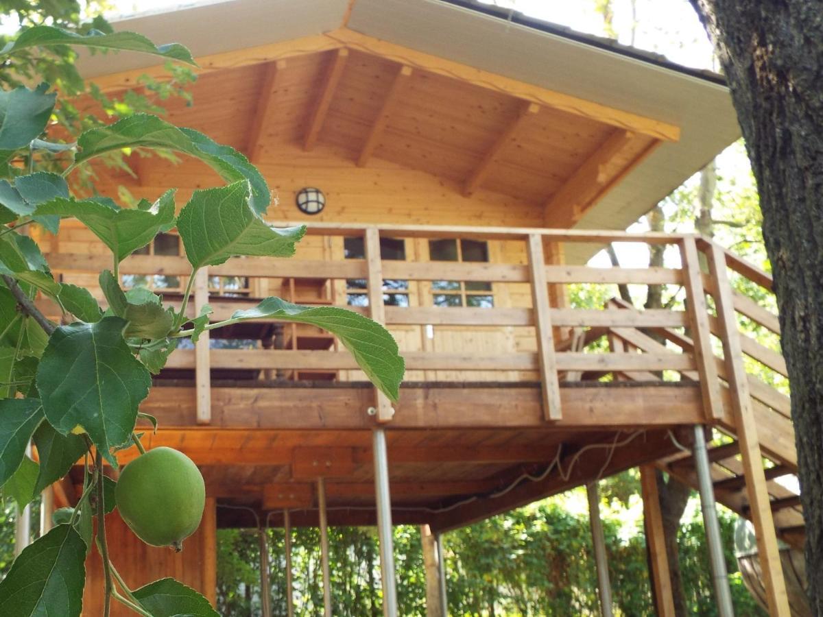 Albavillage Wellness & Hotel
